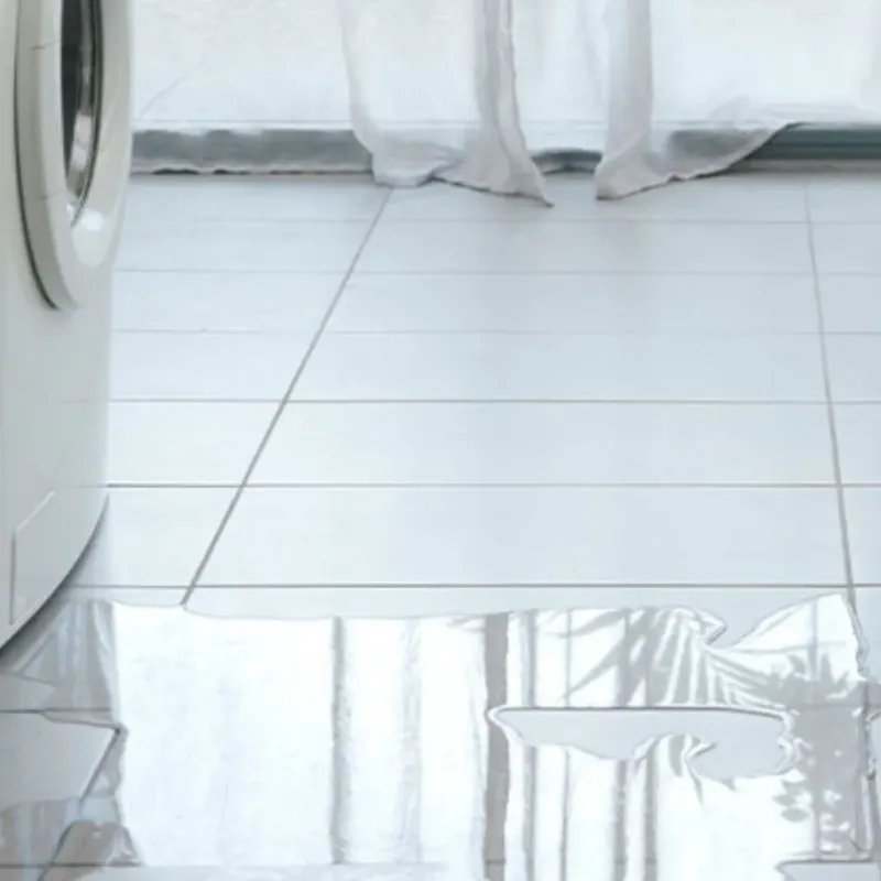 Appliance Leak Cleanup in Gearhart, OR